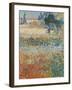 Garden in Bloom Arles, c.1888-Vincent van Gogh-Framed Premium Giclee Print