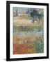 Garden in Bloom Arles, c.1888-Vincent van Gogh-Framed Premium Giclee Print