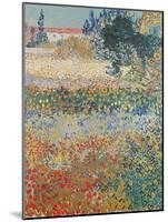 Garden in Bloom Arles, c.1888-Vincent van Gogh-Mounted Giclee Print