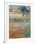 Garden in Bloom Arles, c.1888-Vincent van Gogh-Framed Giclee Print