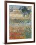 Garden in Bloom Arles, c.1888-Vincent van Gogh-Framed Giclee Print