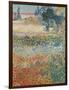 Garden in Bloom Arles, c.1888-Vincent van Gogh-Framed Giclee Print