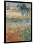 Garden in Bloom Arles, c.1888-Vincent van Gogh-Framed Giclee Print