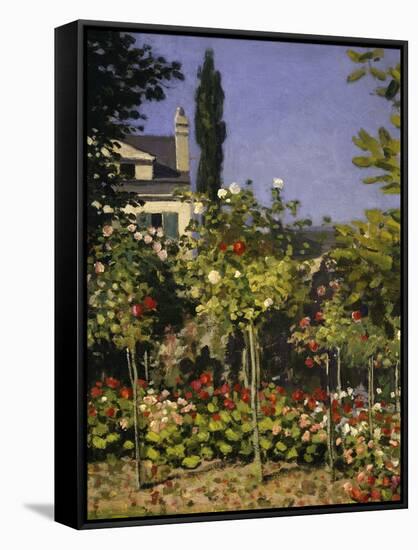 Garden in Bloom, c.1866-Claude Monet-Framed Stretched Canvas