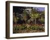 Garden in Bloom, c.1866-Claude Monet-Framed Giclee Print