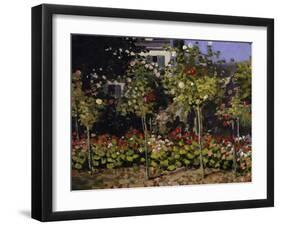 Garden in Bloom, c.1866-Claude Monet-Framed Giclee Print