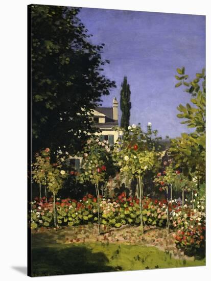 Garden in Bloom, c.1866-Claude Monet-Stretched Canvas