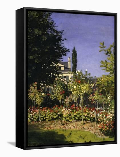 Garden in Bloom, c.1866-Claude Monet-Framed Stretched Canvas