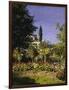 Garden in Bloom, c.1866-Claude Monet-Framed Giclee Print