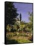 Garden in Bloom, c.1866-Claude Monet-Framed Stretched Canvas