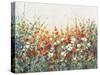 Garden in Bloom I-Tim OToole-Stretched Canvas