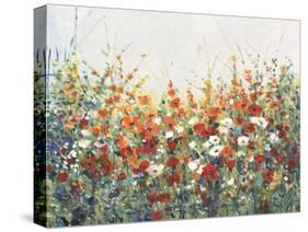 Garden in Bloom I-Tim OToole-Stretched Canvas