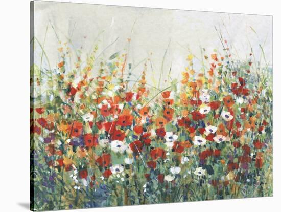 Garden in Bloom II-Tim OToole-Stretched Canvas