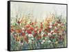 Garden in Bloom II-Tim OToole-Framed Stretched Canvas