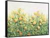 Garden in Bloom III-Tim OToole-Framed Stretched Canvas