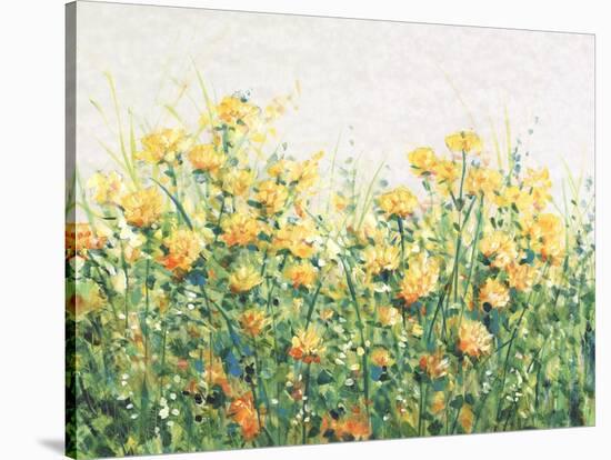 Garden in Bloom III-Tim OToole-Stretched Canvas
