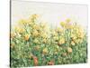 Garden in Bloom III-Tim OToole-Stretched Canvas