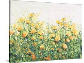 Garden in Bloom III-Tim OToole-Stretched Canvas