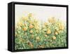 Garden in Bloom III-Tim OToole-Framed Stretched Canvas