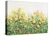 Garden in Bloom III-Tim OToole-Stretched Canvas