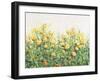 Garden in Bloom III-Tim OToole-Framed Art Print