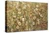 Garden in Bloom-Tim O'toole-Stretched Canvas