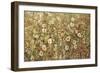 Garden in Bloom-Tim O'toole-Framed Giclee Print