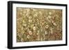 Garden in Bloom-Tim O'toole-Framed Giclee Print