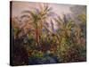 Garden in Bordighera, Impression of Morning, 1884-Claude Monet-Stretched Canvas