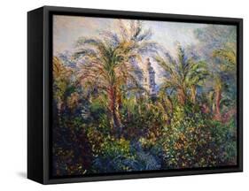 Garden in Bordighera, Impression of Morning, 1884-Claude Monet-Framed Stretched Canvas