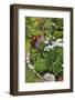 Garden in full bloom, Sammamish, Washington State-Darrell Gulin-Framed Photographic Print