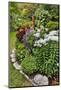 Garden in full bloom, Sammamish, Washington State-Darrell Gulin-Mounted Photographic Print