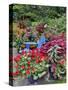 Garden in full bloom with blue chair, Sammamish, Washington State-Darrell Gulin-Stretched Canvas