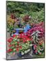 Garden in full bloom with blue chair, Sammamish, Washington State-Darrell Gulin-Mounted Photographic Print
