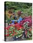 Garden in full bloom with blue chair, Sammamish, Washington State-Darrell Gulin-Stretched Canvas