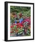 Garden in full bloom with blue chair, Sammamish, Washington State-Darrell Gulin-Framed Photographic Print