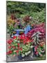 Garden in full bloom with blue chair, Sammamish, Washington State-Darrell Gulin-Mounted Photographic Print