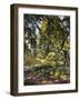 Garden in Godrammstein with a Twisted Tree and Pond; Garten in Godrammstein Mit Verwachsenem Baum…-Max Slevogt-Framed Giclee Print