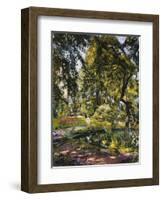 Garden in Godrammstein with a Twisted Tree and Pond-Max Slevogt-Framed Giclee Print