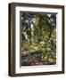 Garden in Godrammstein with a Twisted Tree and Pond-Max Slevogt-Framed Giclee Print