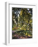 Garden in Godrammstein with a Twisted Tree and Pond-Max Slevogt-Framed Giclee Print