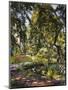 Garden in Godrammstein with a Twisted Tree and Pond-Max Slevogt-Mounted Giclee Print