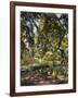 Garden in Godrammstein with a Twisted Tree and Pond-Max Slevogt-Framed Giclee Print