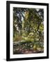 Garden in Godrammstein with a Twisted Tree and Pond-Max Slevogt-Framed Giclee Print