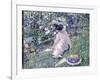 Garden in June, 1911-Frederick Carl Frieseke-Framed Giclee Print