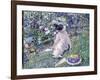 Garden in June, 1911-Frederick Carl Frieseke-Framed Giclee Print