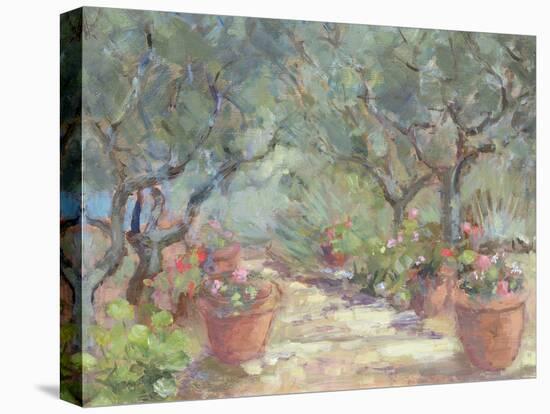 Garden in Porto Ercole, Italy, 1996-Karen Armitage-Stretched Canvas