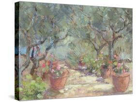 Garden in Porto Ercole, Italy, 1996-Karen Armitage-Stretched Canvas