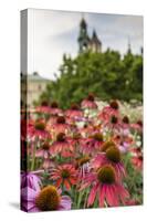 Garden in Wawel Castle, Cracow, Poland-Curioso Travel Photography-Stretched Canvas
