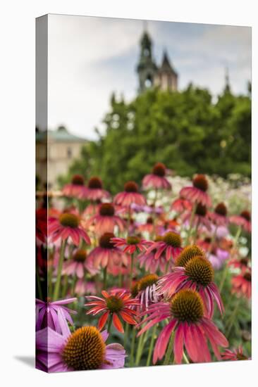 Garden in Wawel Castle, Cracow, Poland-Curioso Travel Photography-Stretched Canvas